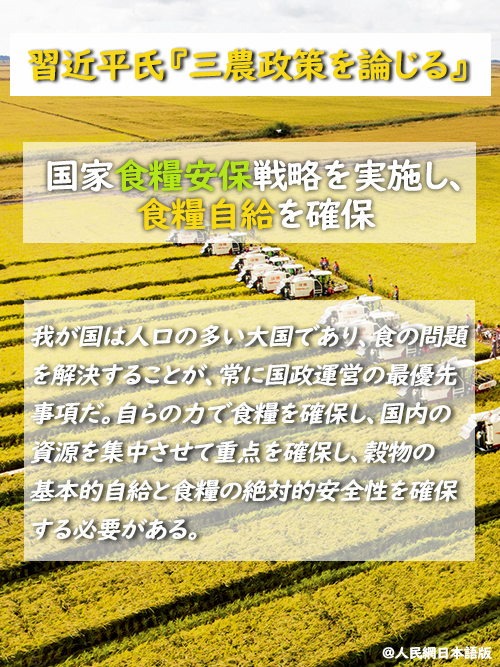 【習(xí)近平氏『三農(nóng)政策を論じる』】國(guó)家食糧安保戦略を?qū)g施し、食糧自給を確保