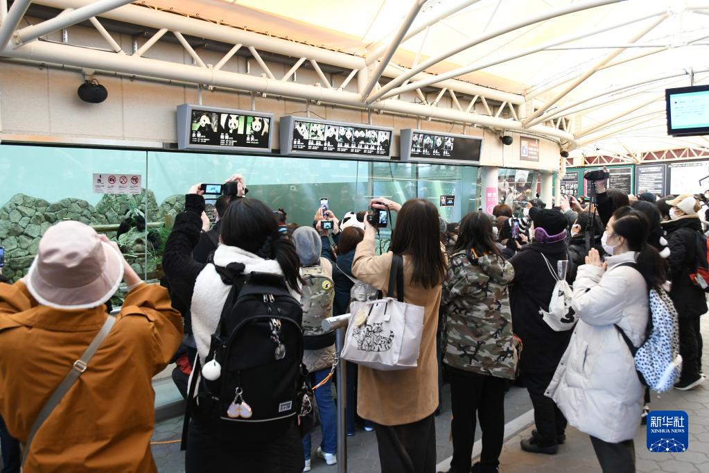 和歌山県白浜町の「アドベンチャーワールド」で、パンダの「永明」を観覧する來園客（2月21日撮影?岳晨星）。