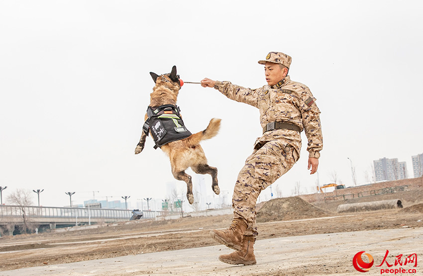 警察犬たちの日常訓練　新疆