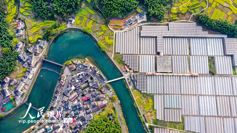 浙江省杭州市淳安県楓樹嶺鎮下姜村に広がる春景色（撮影?楊波/寫真著作権は人民図片が所有のため転載禁止）。