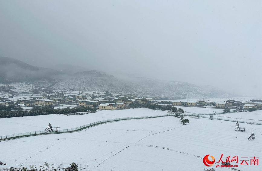 5月の香格里拉に舞う雪（撮影?余成銘）。