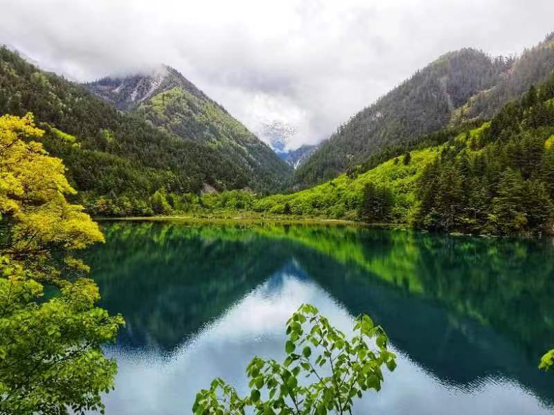 九寨溝の美しい風(fēng)景（寫真提供?九寨溝景勝地）。