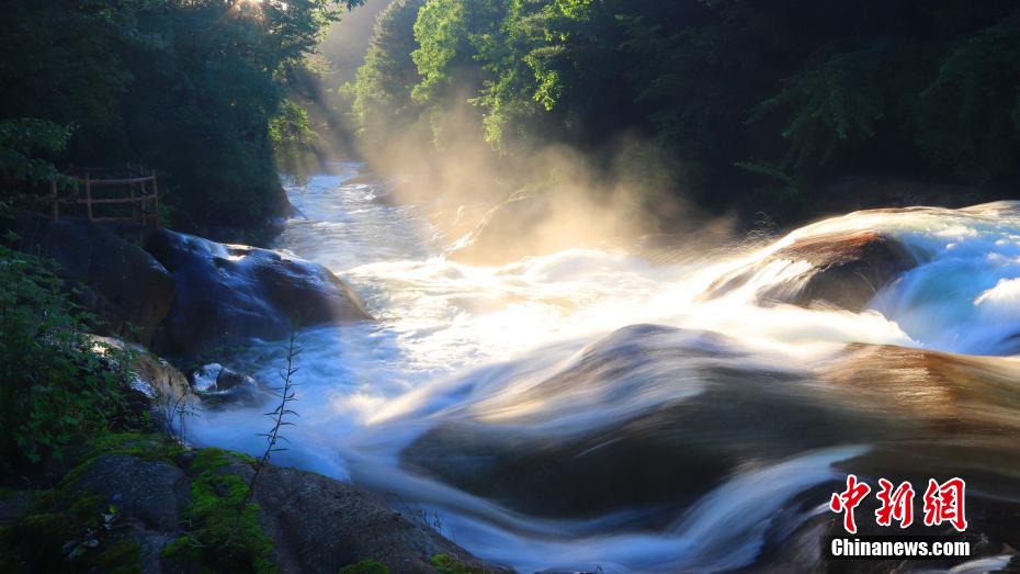 秦嶺山脈の山奧の夏の日の木漏れ日（寫真提供?黃柏塬原生態(tài)景勝）。