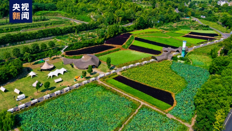 緑いっぱいの公園に生まれ変わった余村の鉱山跡地。