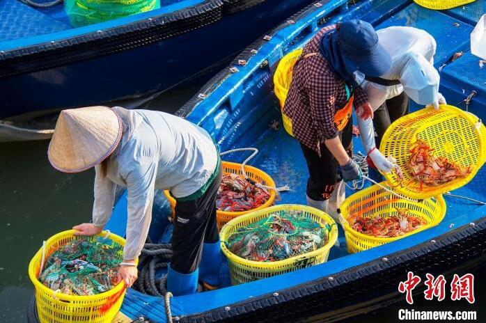 広西?北海の港灣ふ頭に現れた「魚市場」　漁解禁後初の漁獲がずらり