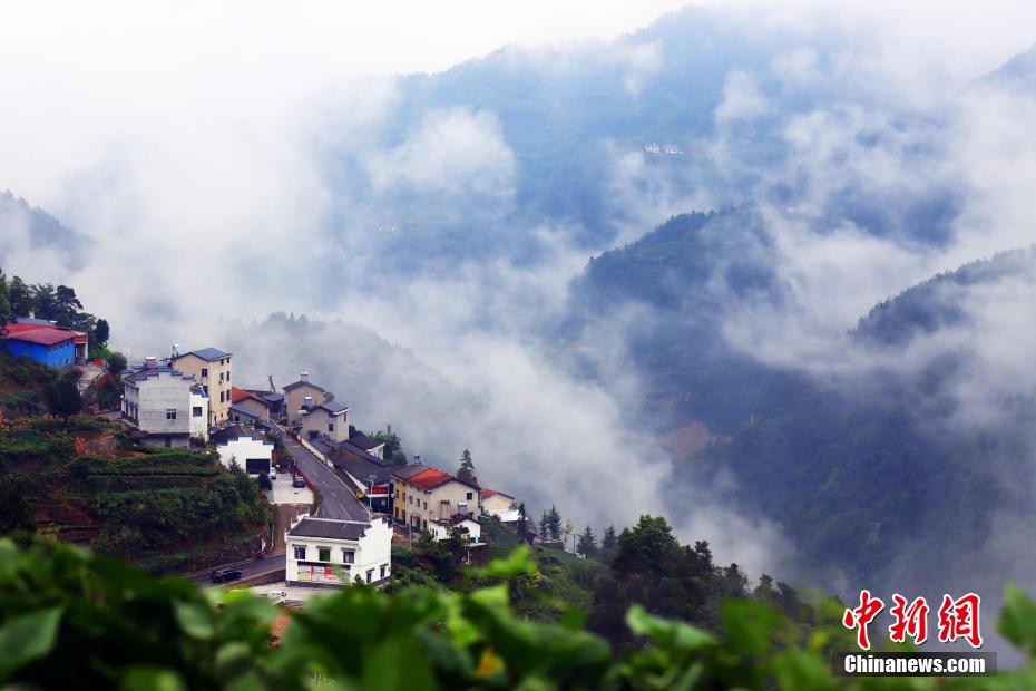 幻想的な景色広がる三峽ダム區の「雲海茶谷」　湖北省