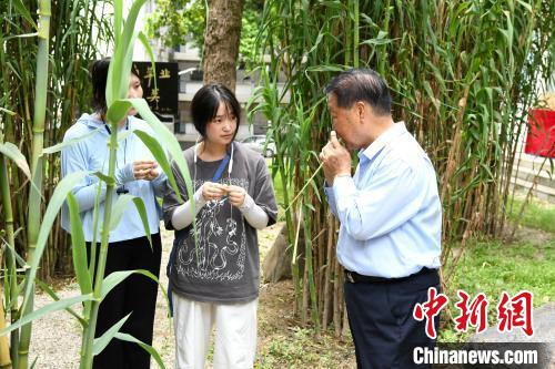 國家菌草工學技術研究センター首席科學者で、國連國際生態安全科學アカデミー會員の林占熺氏が2022年7月、福建農林大學菌草園で學生に柔らかい菌草を試食させていたところ。撮影?王東明