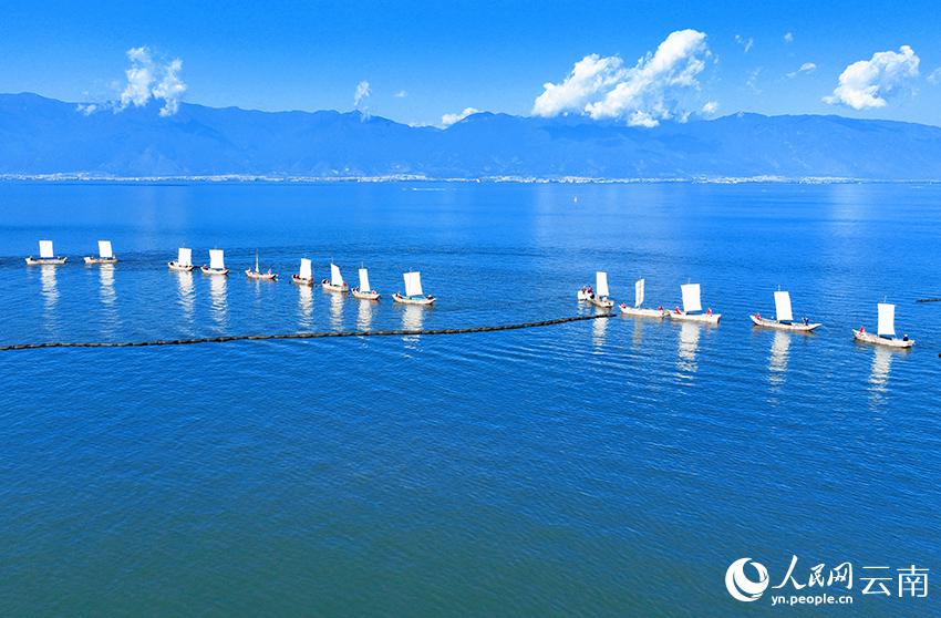 淡水湖の洱海で連なるように漁に出る船（撮影?董孟良）。