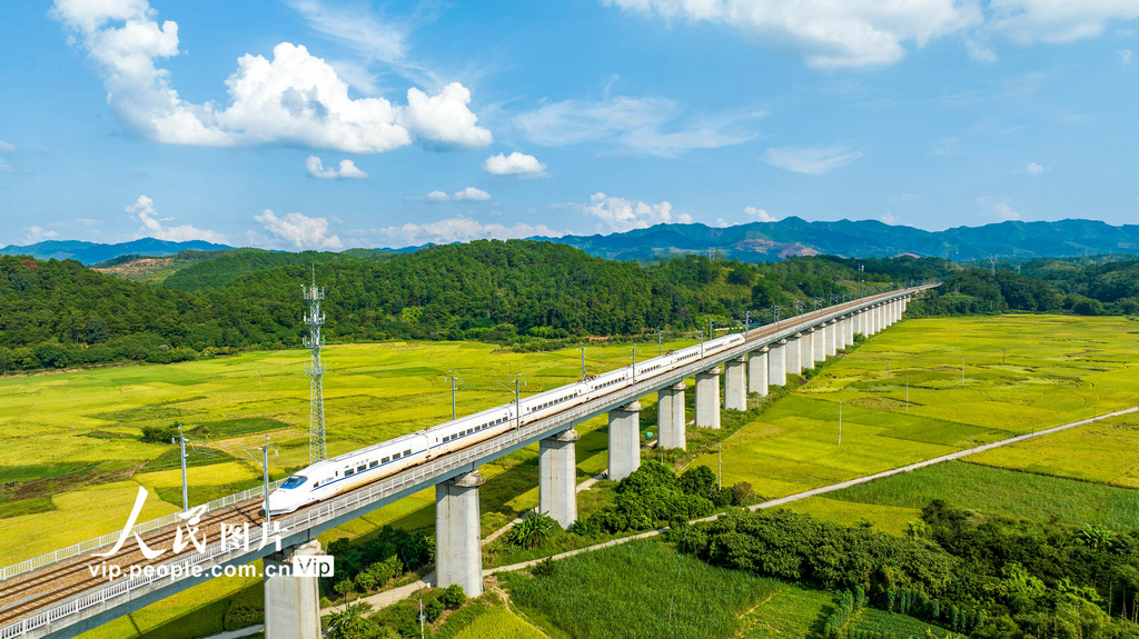 稲の香り漂う黃金の田園風景を疾走する高速鉄道　広西