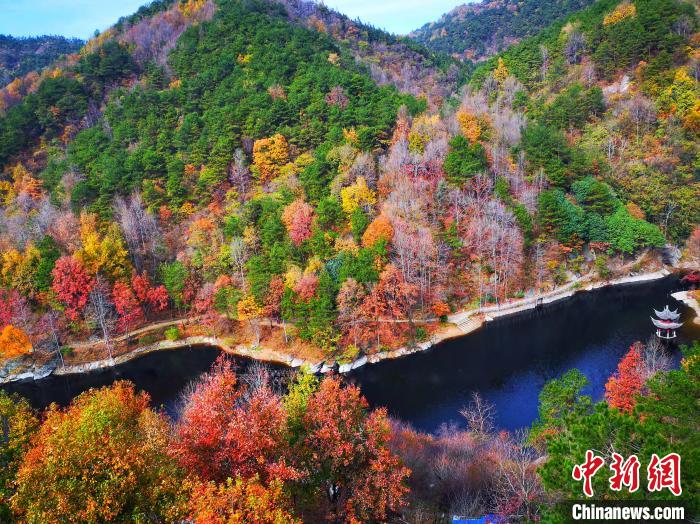 色づく初冬の紅葉が広がる武漢市黃陂區にある木蘭清涼寨景勝地（撮影?方崇陽）。