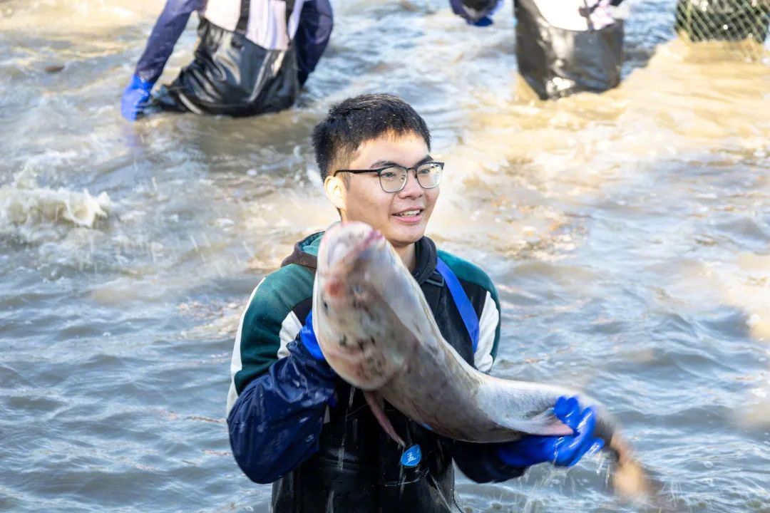 魚を食べよう！湖北省の武漢科技大學で魚捕り＆グルメイベント