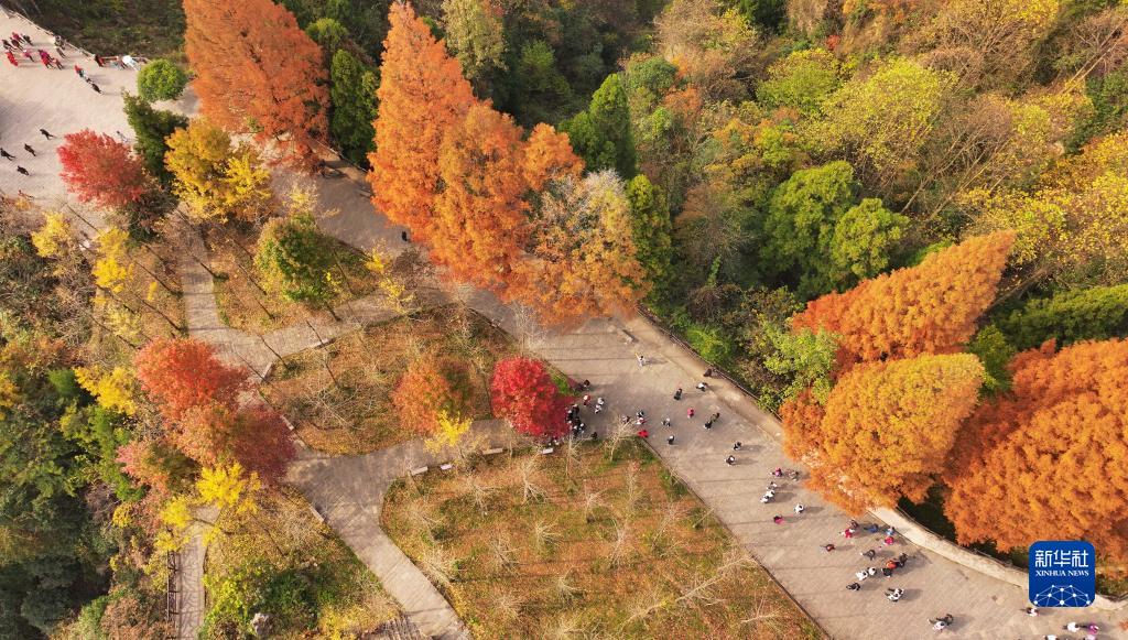 湖南省張家界國家森林公園の天子山（11月22日、ドローンによる撮影?呉勇兵）。