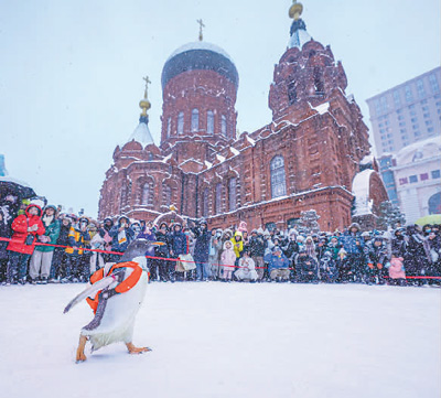 大勢の市民が集まった聖ソフィア大聖堂の前を歩く「淘學ペンギン」（撮影?陳南）。