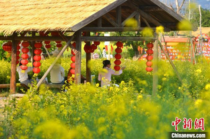 梁厝特色歴史文化街區の菜の花畑を楽しむ観光客（撮影?呂明）。