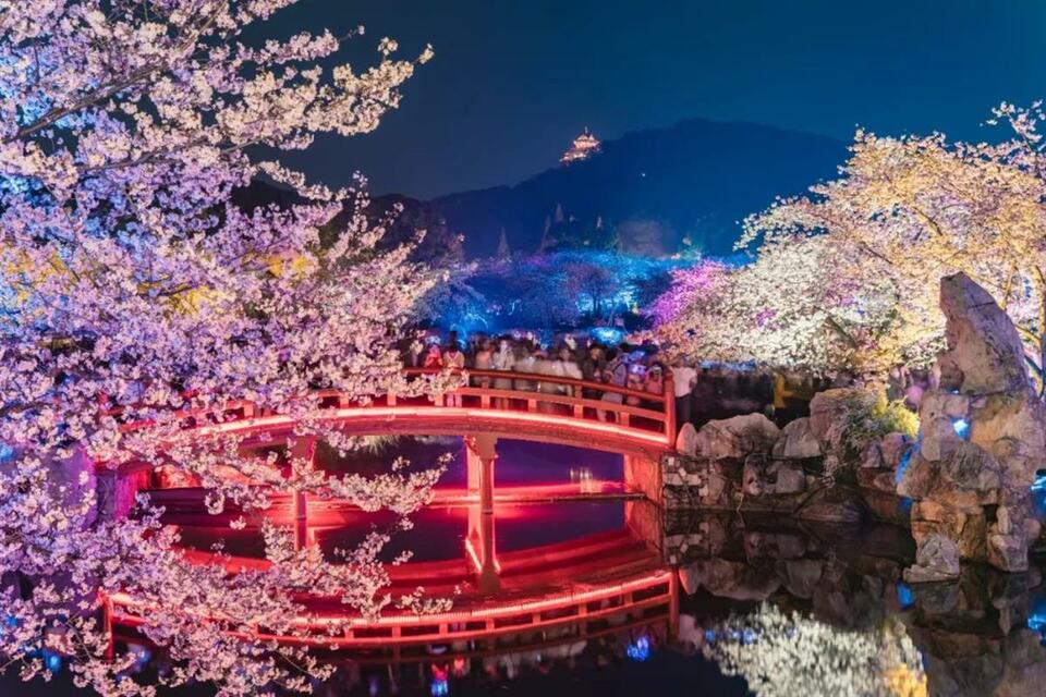 東湖桜花園の景色（寫真提供?東湖景勝地）。