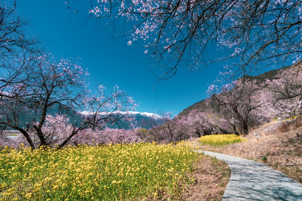 【音聲ニュース】花見やハイキングで春を満喫　「春の旅経済」が人気上昇中