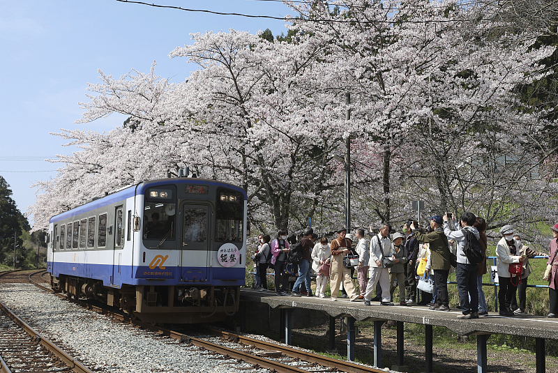 （畫像著作権はCFP視覚中國所有のため転載禁止）