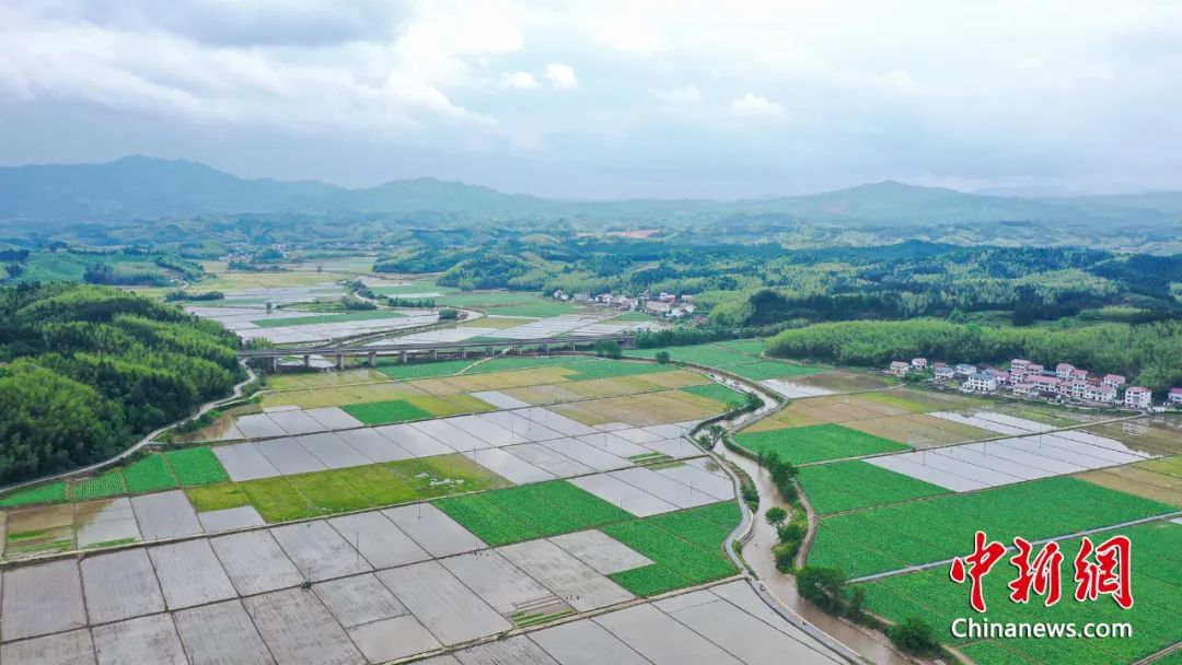 建寧県渓口鎮楓元村に広がる水田。撮影?陳震