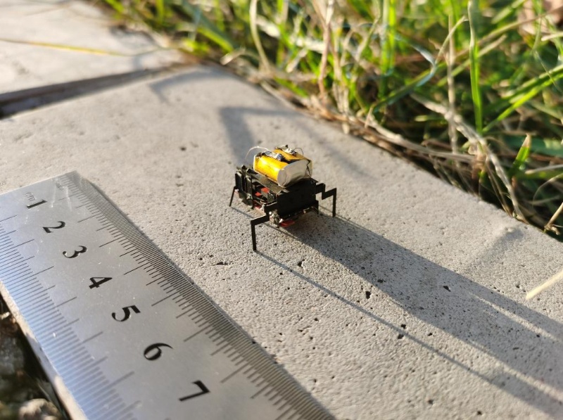 北京航空航天大學の科學研究チームが研究開発した超小型昆蟲ロボット。（畫像提供は取材先）