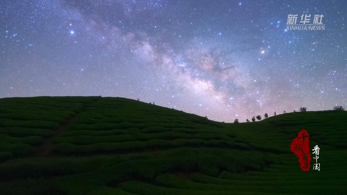 木耳山茶園でロマンチックな星空を眺めよう！　湖北省