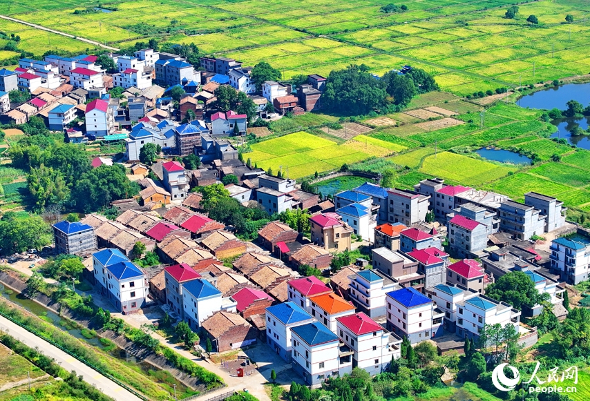 江西省吉安市吉水県楓江鎮小江村に広がる民家と住宅と田畑?川?緑濃い木々が互いを引き立て合う美しい農村風景（撮影?朱海鵬）。