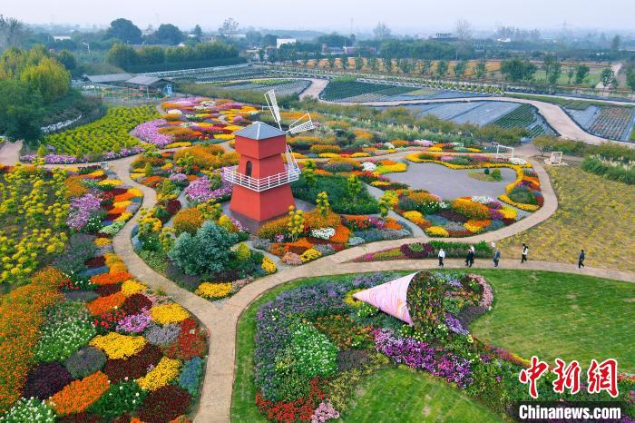 美しく咲き亂れる秋の花々　湖北省枝江