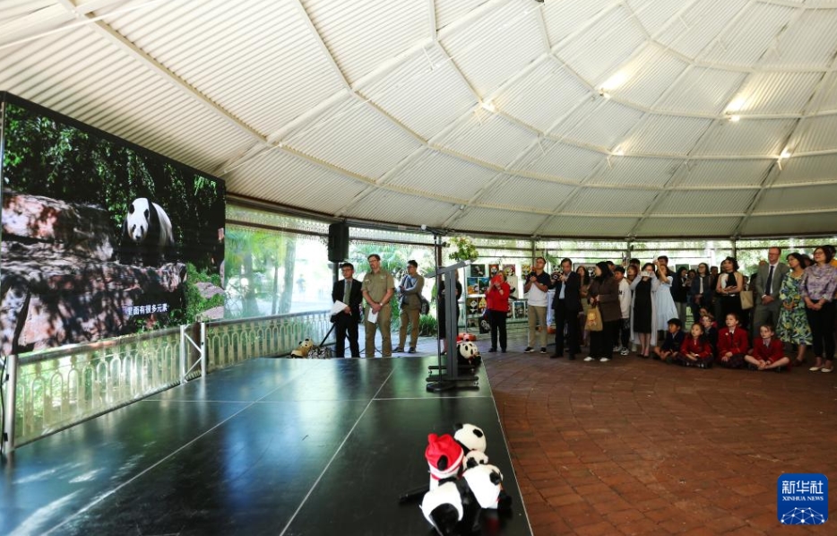 アデレード動物園で行われた送別イベントで「網網」と「福妮」の映像を見る參加者（11月14日撮影?馬平）