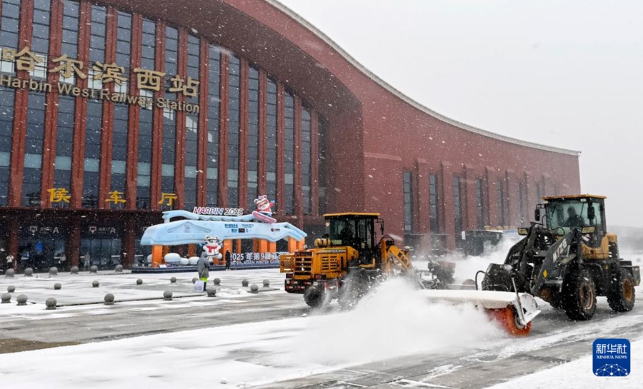 黒竜江省に寒波襲來、広い範囲で大雪に