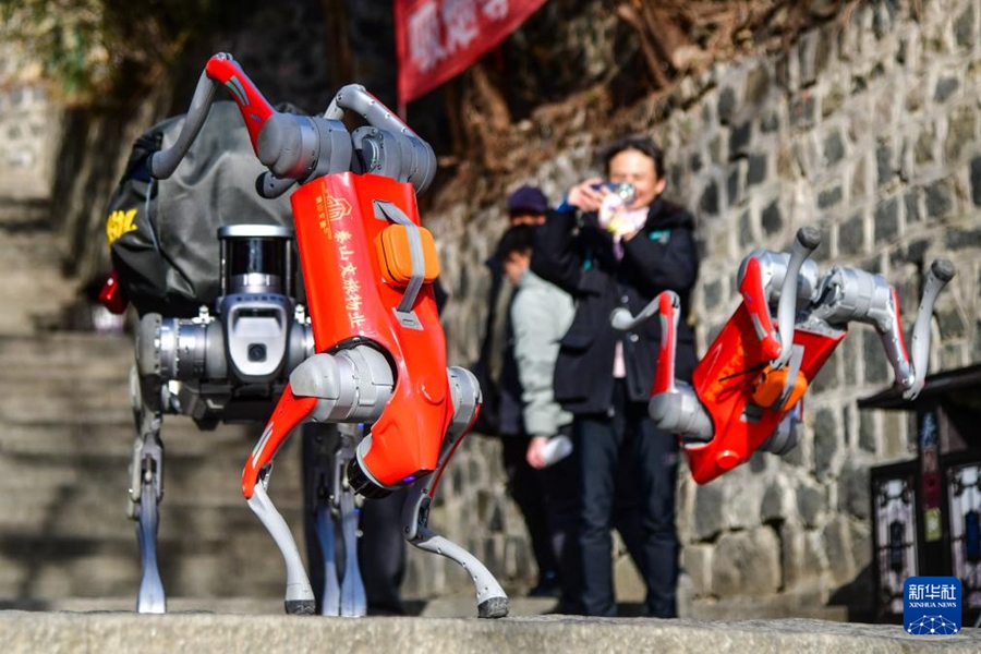 【音聲ニュース】 泰山でロボット犬の第2回運用テストを実施